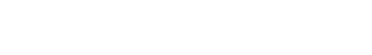 Axiflex | Overheidsprofessionals | Interim management  |  Leaderships  |  Traineeschips